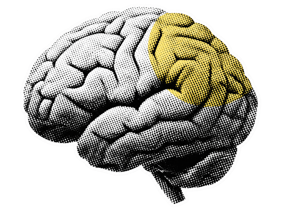 Black and white halftone brain with a yellow highlighted area